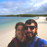 Galápagos: nedant entre taurons, tortugues i llops marins